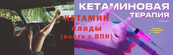 индика Тобольск